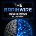 Brainwire